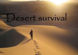 desert survival